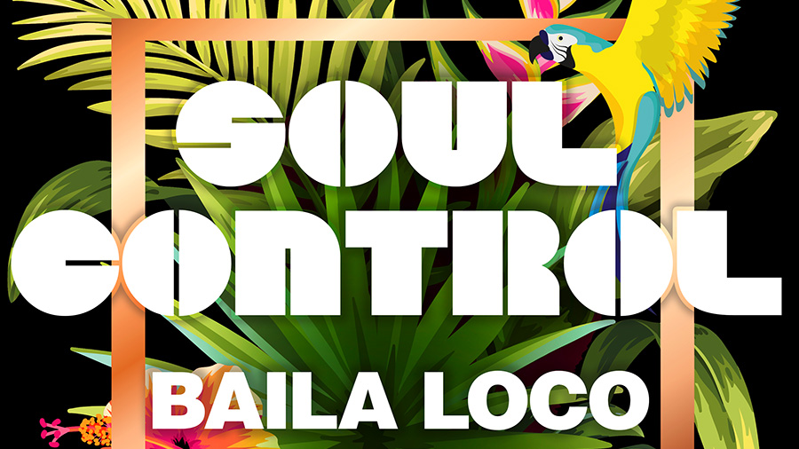 Soul Control - Baila Loco (Simon Fava Remix)