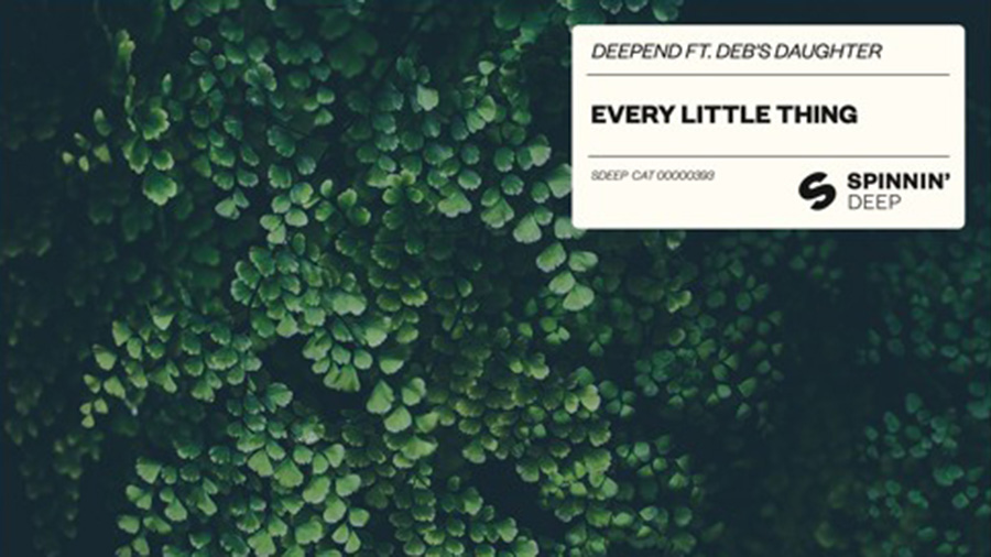Deepend feat. Deb's Daughter - Every Little Thing