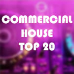 COMMERCIAL HOUSE TOP 20