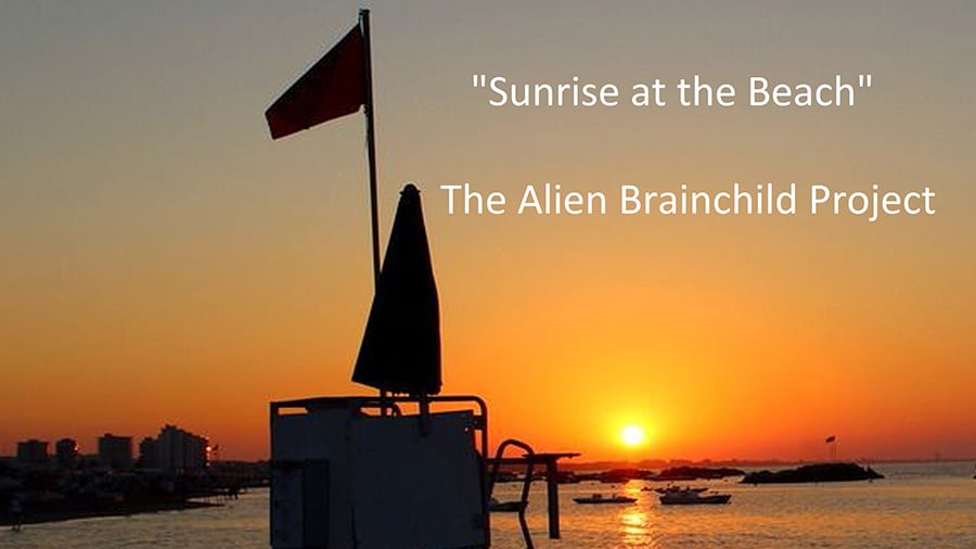 The Alien Brainchild Project - Sunrise at the Beach