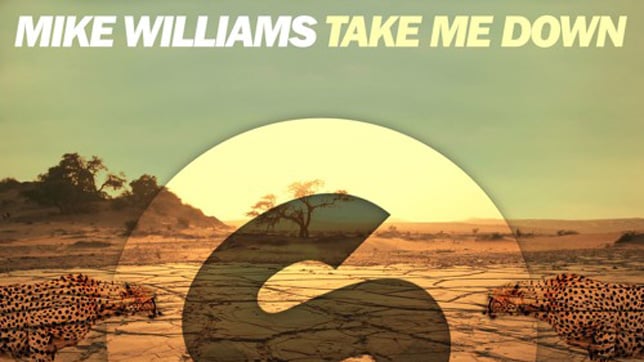 Mike Williams - Take Me Down