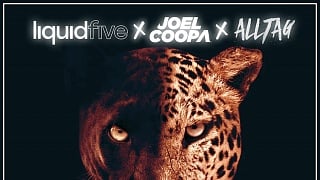 liquidfive x Joel Coopa x Alltag - Lights