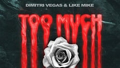 Dimitri Vegas & Like Mike, DVBBS & Roy Woods – Too Much