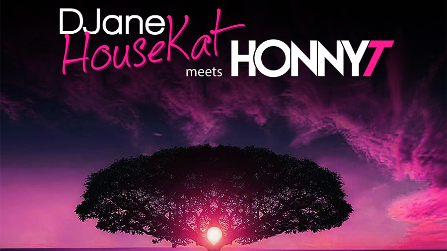 DJane HouseKat meets HonnyT - Wonderful World