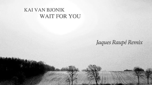 Kai van Bjonik -  Wait for You (Jaques Raupé Remix)