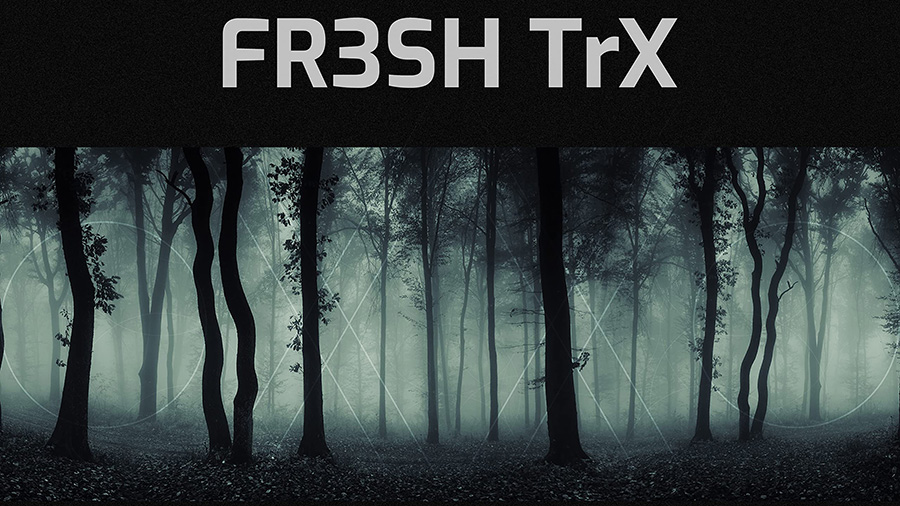 FR3SH TrX - In The Dark
