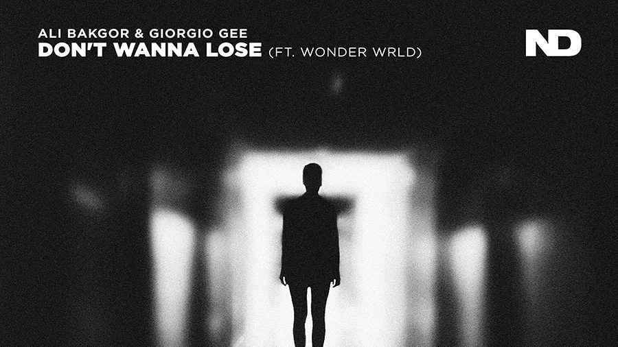 Ali Bakgor & Giorgio Gee feat. Wonder Wrld - Don't Wanna Lose