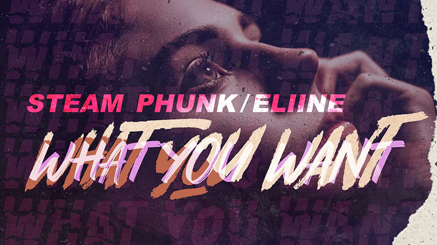 Steam Phunk & Eliine - What You Want