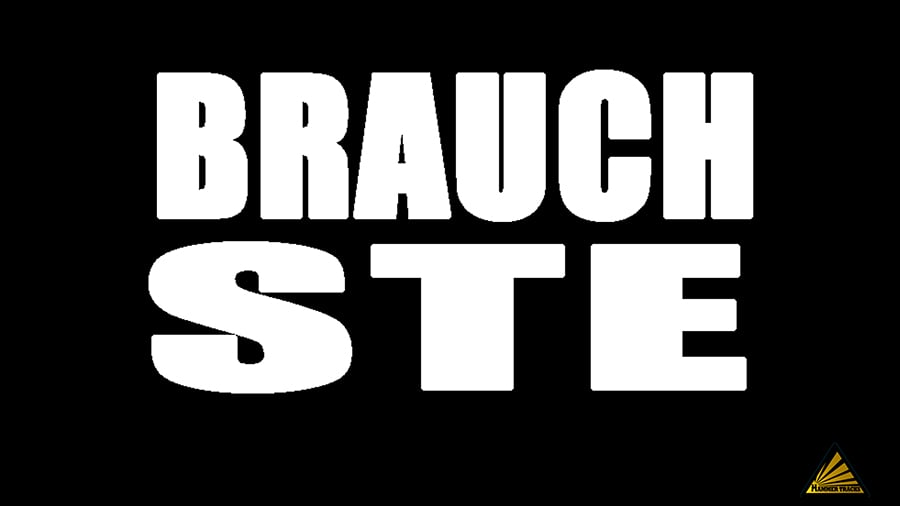 Bangbros - Brauchste