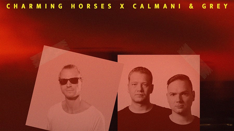 Charming Horses x Calmani & Grey - Sexy Back