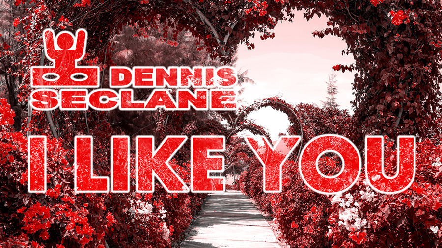 Dennis Seclane - I Like You