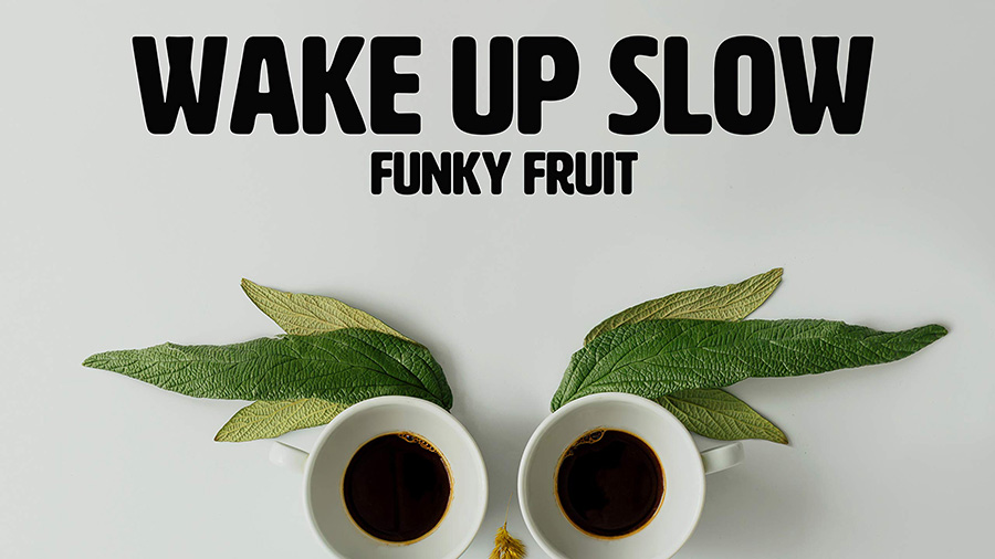 Funky Fruit - Wake Up Slow