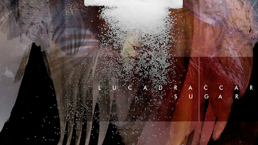 Luca Draccar - Sugar