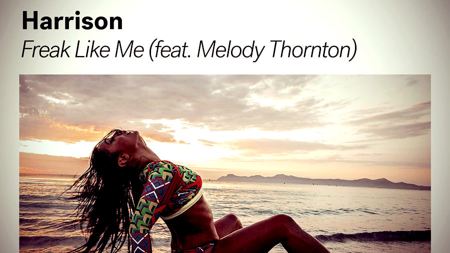 Harrison - Freak Like Me (feat. Melody Thornton)