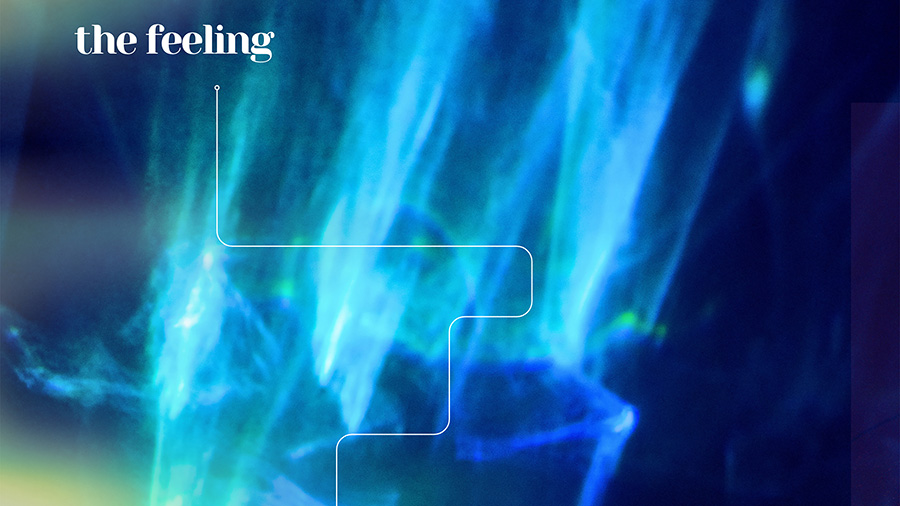 Ultraviolet Ray - The Feeling