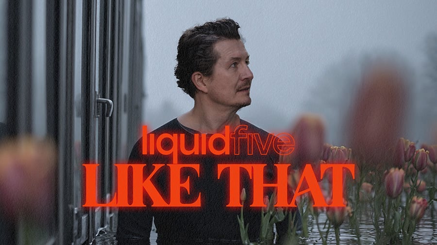 liquidfive - Like That