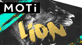 MOTi - Lion