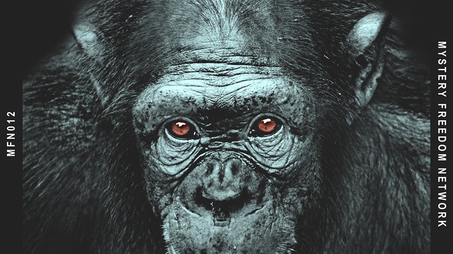 Feier & Eis x Marc O’rell - Monkey Business