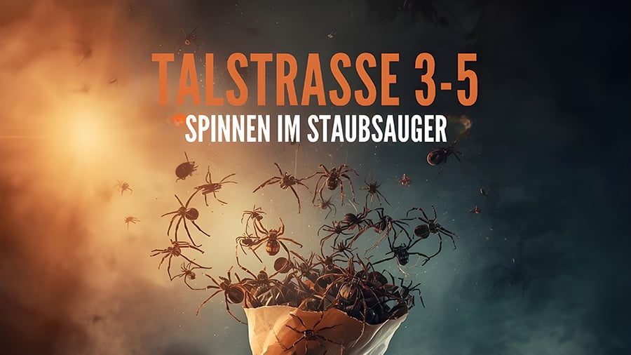 Talstrasse 3-5 - Spinnen im Staubsauger