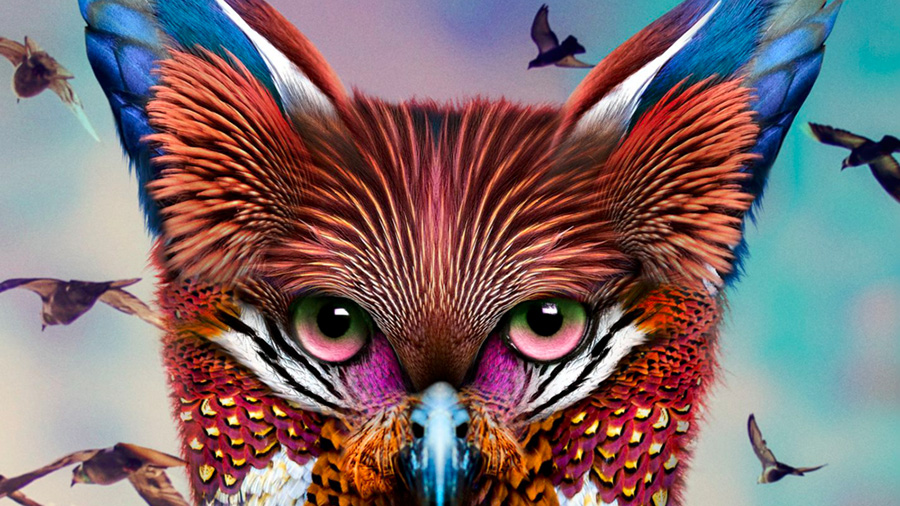 Galantis - The Aviary » [Album Review]