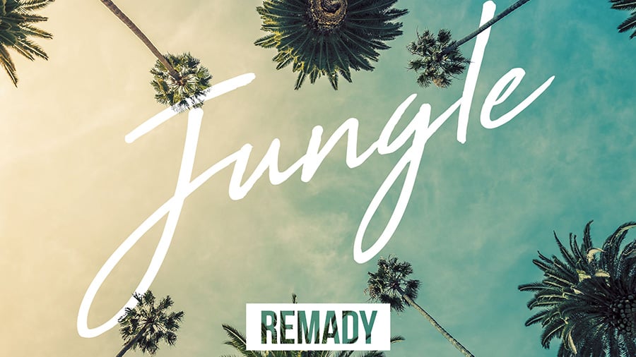 Remady & Bright Sparks - Jungle