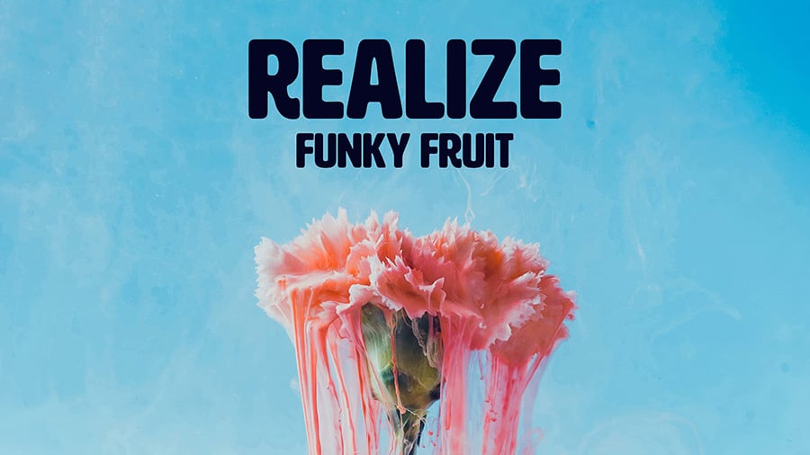 Funky Fruit - Realize