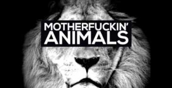 Martin Garrix - ANIMALS (MAOR LEVI REMIX)