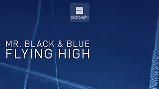 Mr. Black & Blue - Flying High