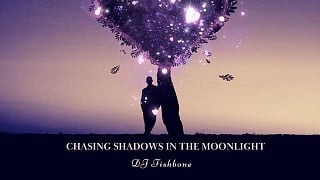 DJ Fishbone - Chasing Shadows in the Moonlight