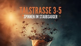 Talstrasse 3-5 - Spinnen im Staubsauger