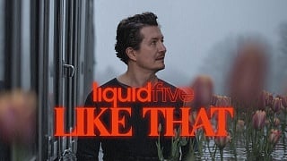 liquidfive - Like That