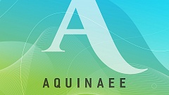 Aquinaee - Scientia