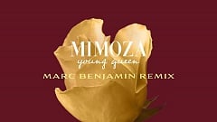 Mimoza - Young Queen (Marc Benjamin Remix)