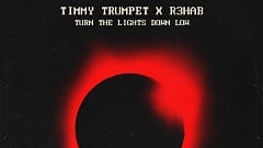 Timmy Trumpet x NINEONE# x R3HAB - Turn The Lights Down Low