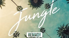 Remady & Bright Sparks - Jungle