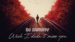 DJ Sammy - Wish I Didn't Miss You
