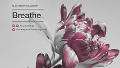 Alexander Bollinger - Breathe