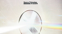Space Primates x Gashi - Find You