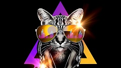 Jason Parker - Techno Cat