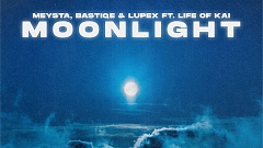 MEYSTA x Bastiqe x LUPEX ft. Life of Kai - Moonlight