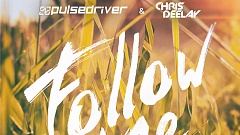 Pulsedriver & Chris Deelay - Follow Me