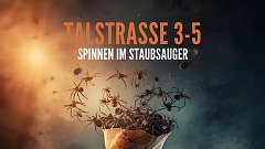 Talstrasse 3-5 - Spinnen im Staubsauger