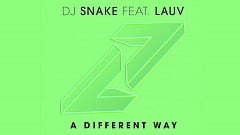 DJ Snake feat. Lauv - A Different Way