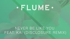 Flume feat. Kai - Never Be Like You (Disclosure Remix)