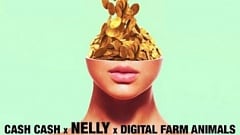 Cash Cash & Digital Farm Animals feat. Nelly - Millionaire