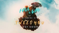 Faul & Wad Ad feat. Avalanche City - I Need You