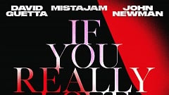 David Guetta, MistaJam & John Newman – If You Really Love Me (How Will I Know)