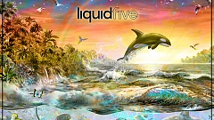 liquidfive - Paradise