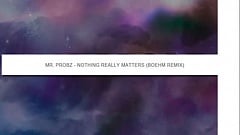 Mr. Probz - Nothing Really Matters (Boehm Remix) [Free Download]