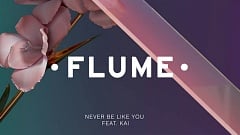 Musikvideo » Flume feat. Kai - Never Be Like You